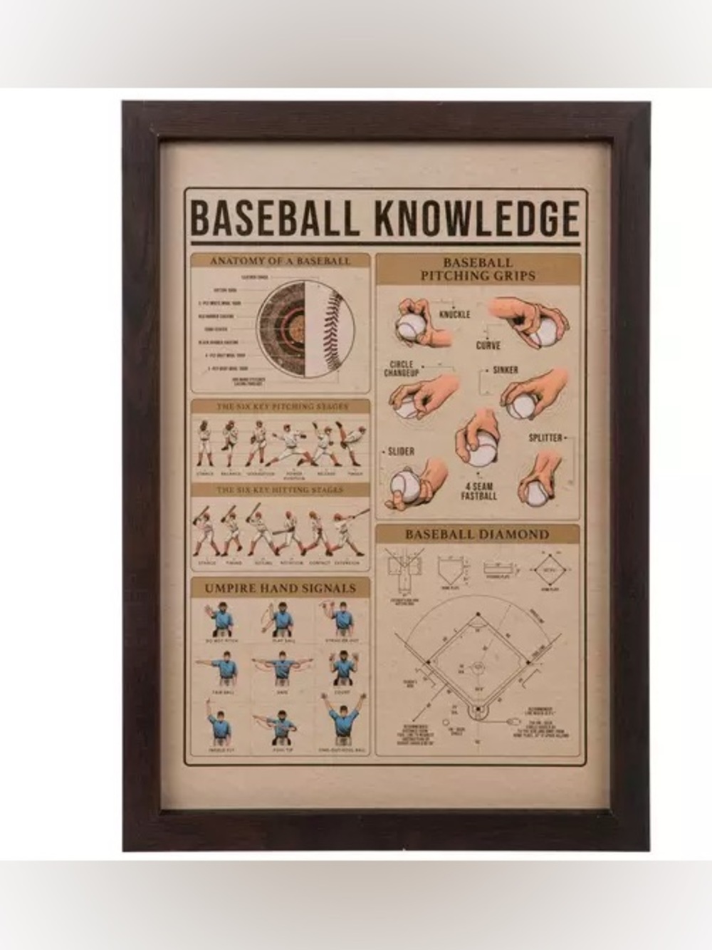 Baseball Knowledge Wood Wall Decor